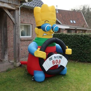 Rijbewijs nieuwe Bestuurder