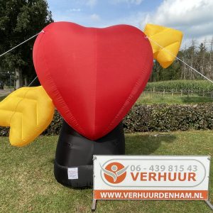 Kleine hart