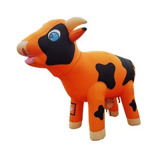 Ranja koe oranje