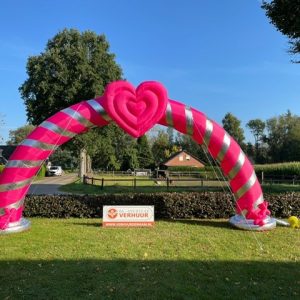 Grote liefdes/huwelijks feestboog roze